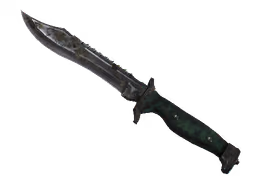 ★ Bowie Knife | Boreal Forest (Battle-Scarred)